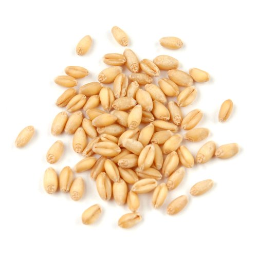 Soft White Wheat Berries 25 Pound Box P9261