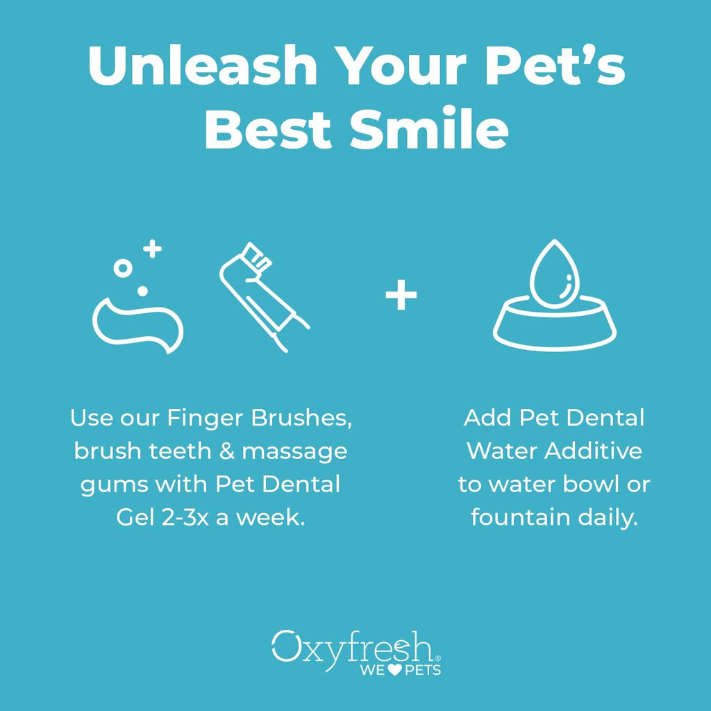 Pet Dental Kit 4oz Toothpaste + 16oz Water Additive K32855