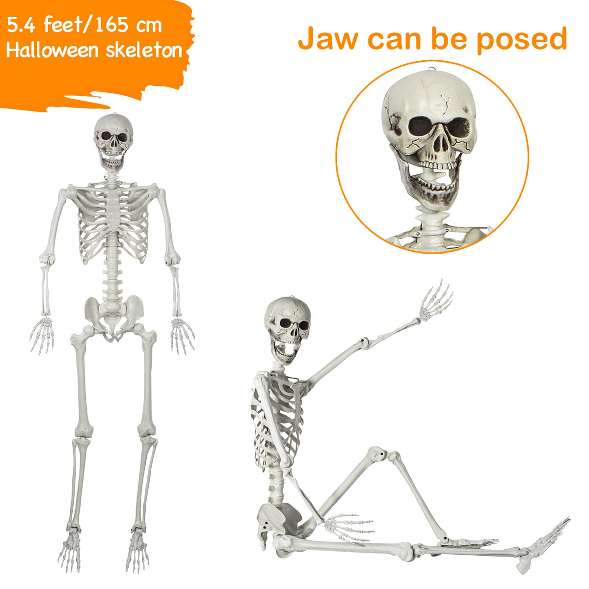 5.4ft Posable Full Body Skeleton with Movable Joints J40162