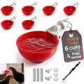 6 Pack Large Chicken Water Cups Z6406
