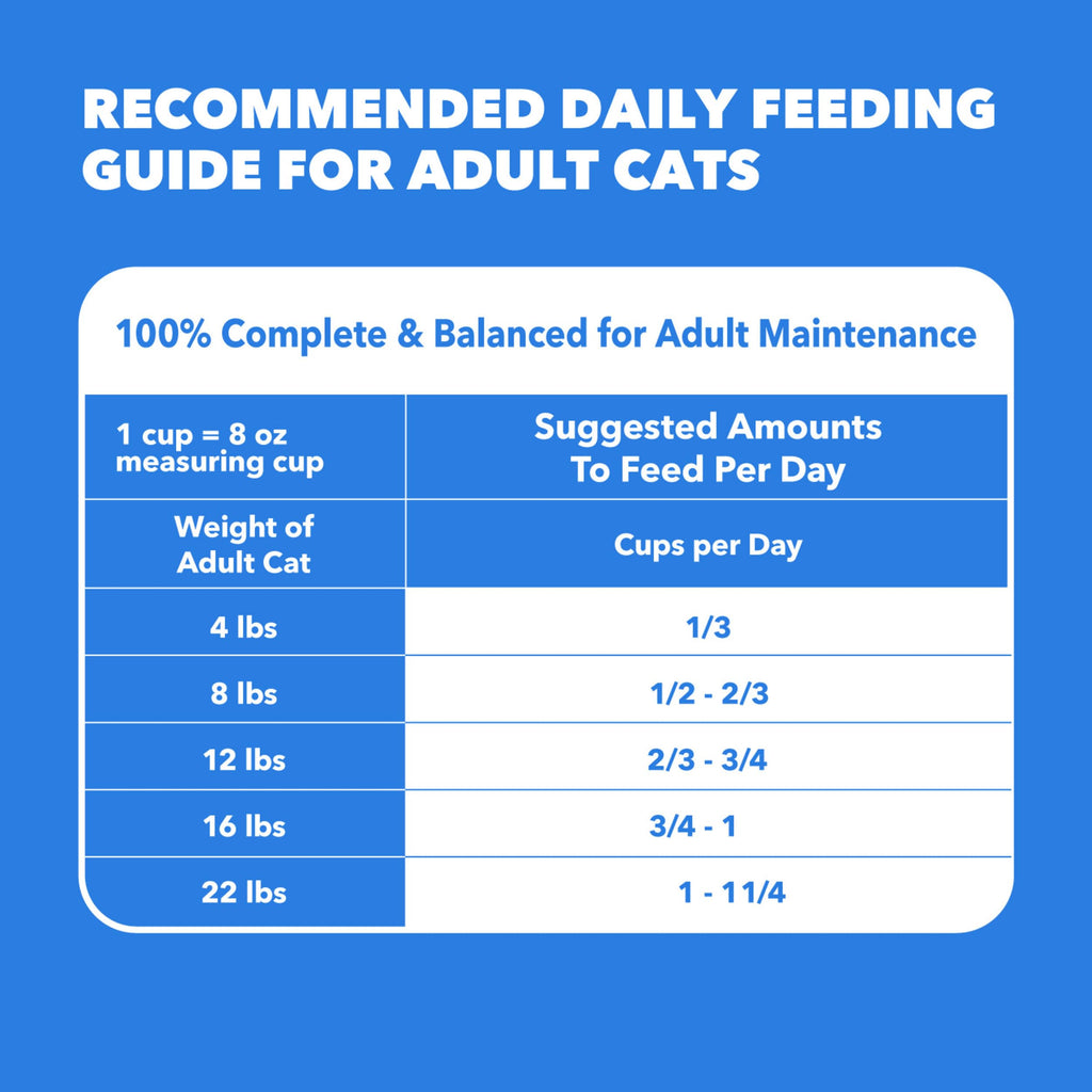 Dry Cat Food Chicken & Salmon Recipe 3 lb M28508