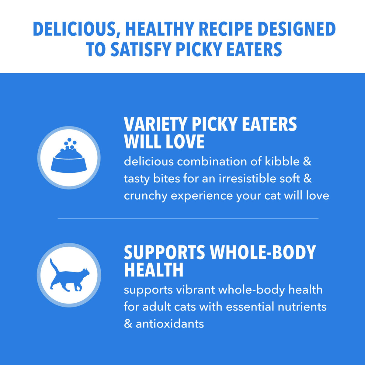 Dry Cat Food Chicken & Salmon Recipe 3 lb M28508