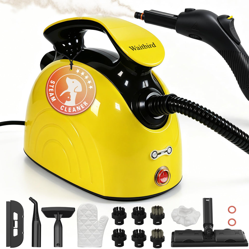 4.5 Bar 300°F Steam Cleaner K24927