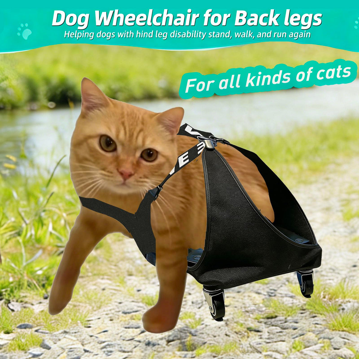 Small Dog or Cat Wheelchair for Back Legs X11354