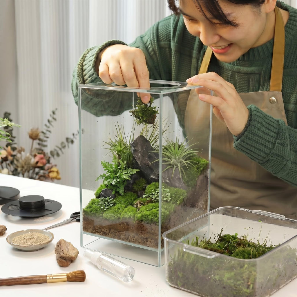 Glass Plant Terrarium with Grow Light Y536034
