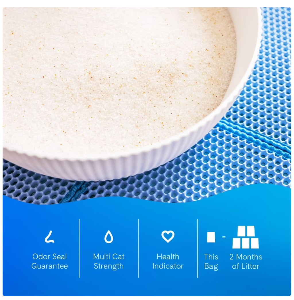 Unscented Non-Clumping Cat Litter R684