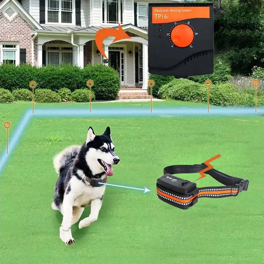 Electric In-Ground Dog Fence Waterproof Shock Collar Q14306