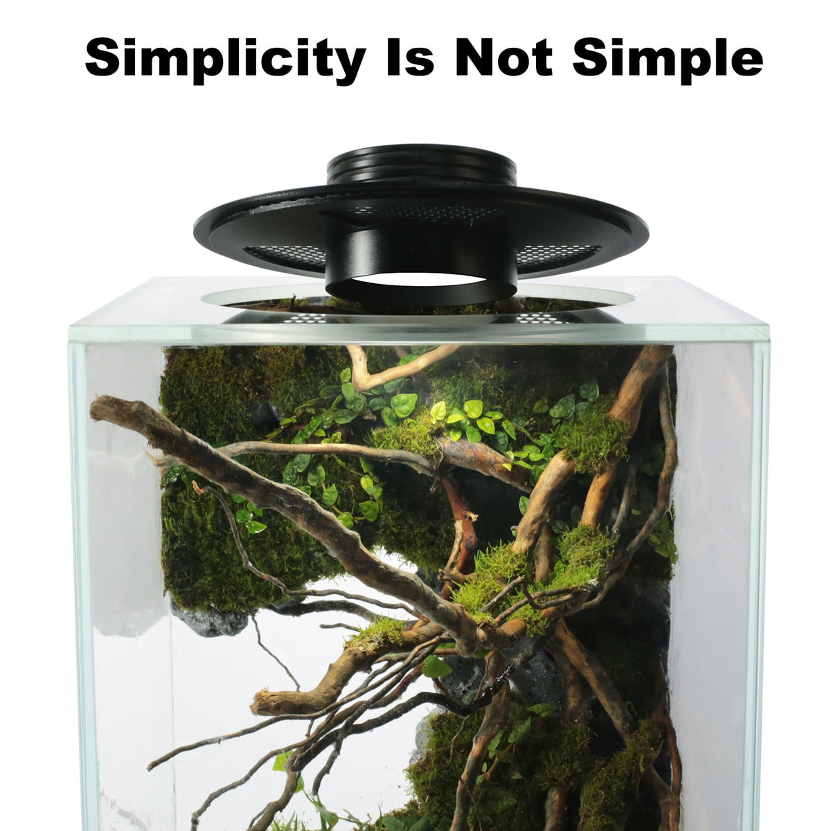 Glass Plant Terrarium with Grow Light Y536034