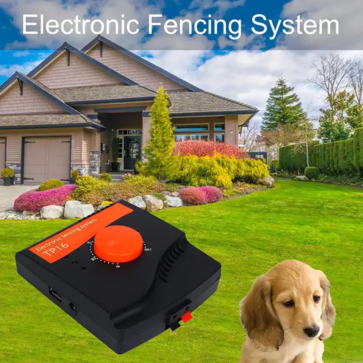 Electric In-Ground Dog Fence Waterproof Shock Collar Q14306