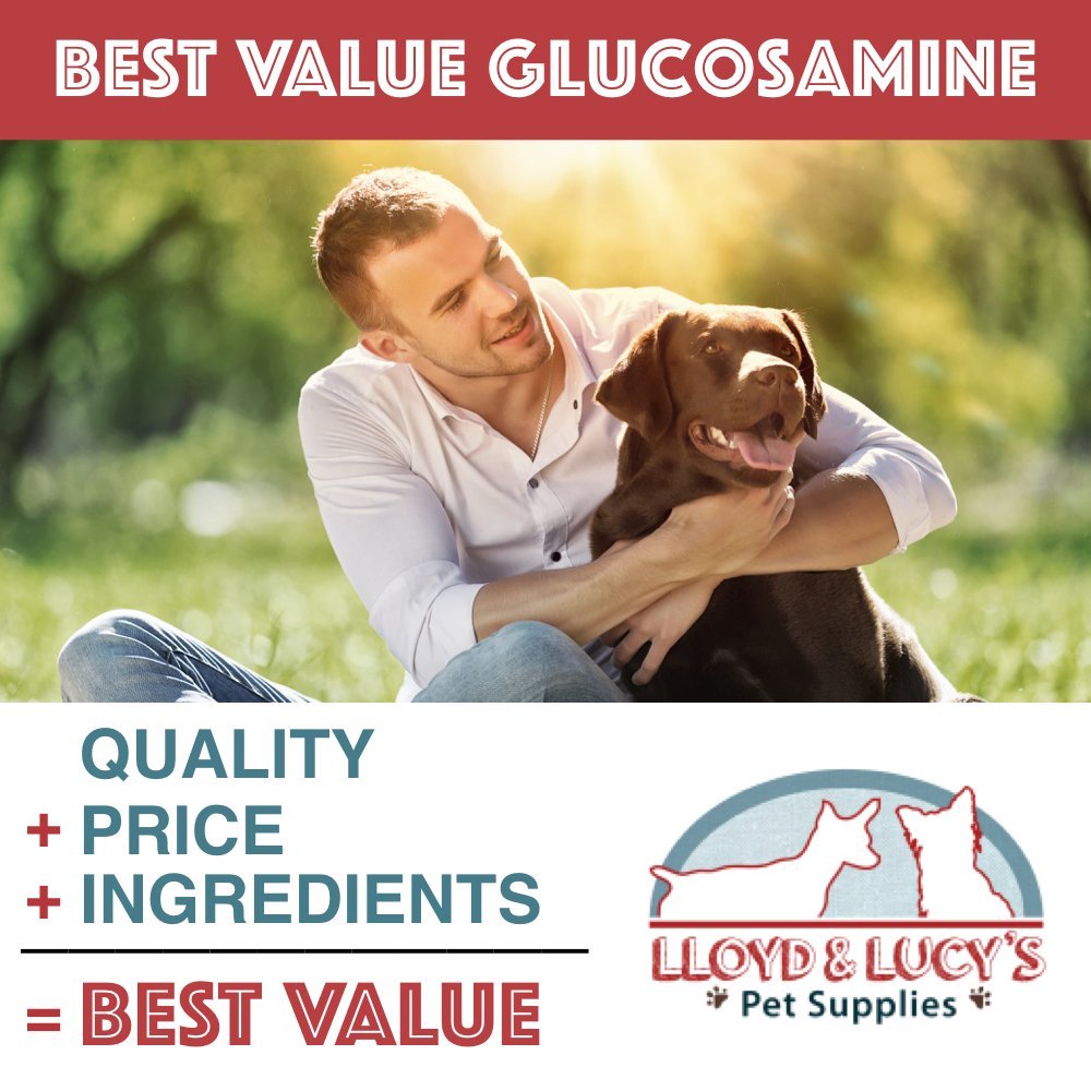 Chewable Hip and Joint Supplement for Dogs 180 Ct Tablets I9429