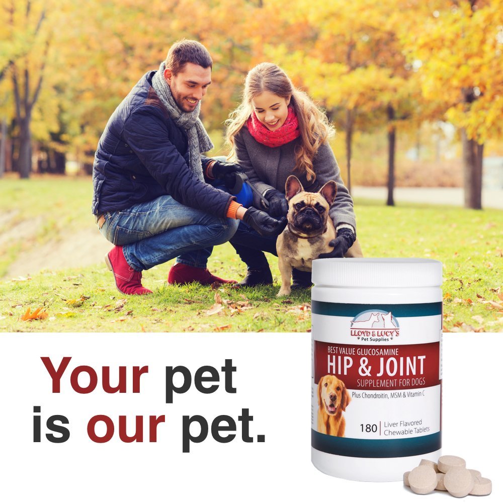 Chewable Hip and Joint Supplement for Dogs 180 Ct Tablets I9429
