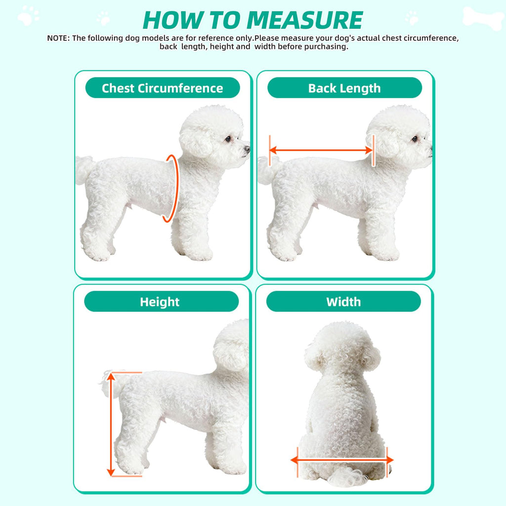 Small Dog or Cat Wheelchair for Back Legs X11354