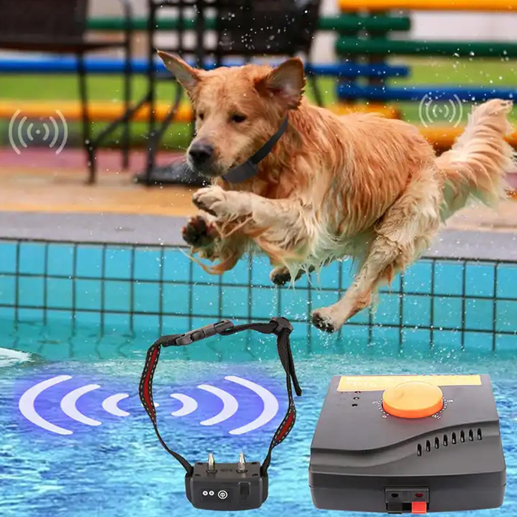 Electric In-Ground Dog Fence Waterproof Shock Collar Q14306