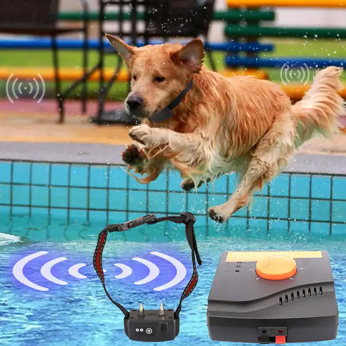 Electric In-Ground Dog Fence Waterproof Shock Collar Q14306