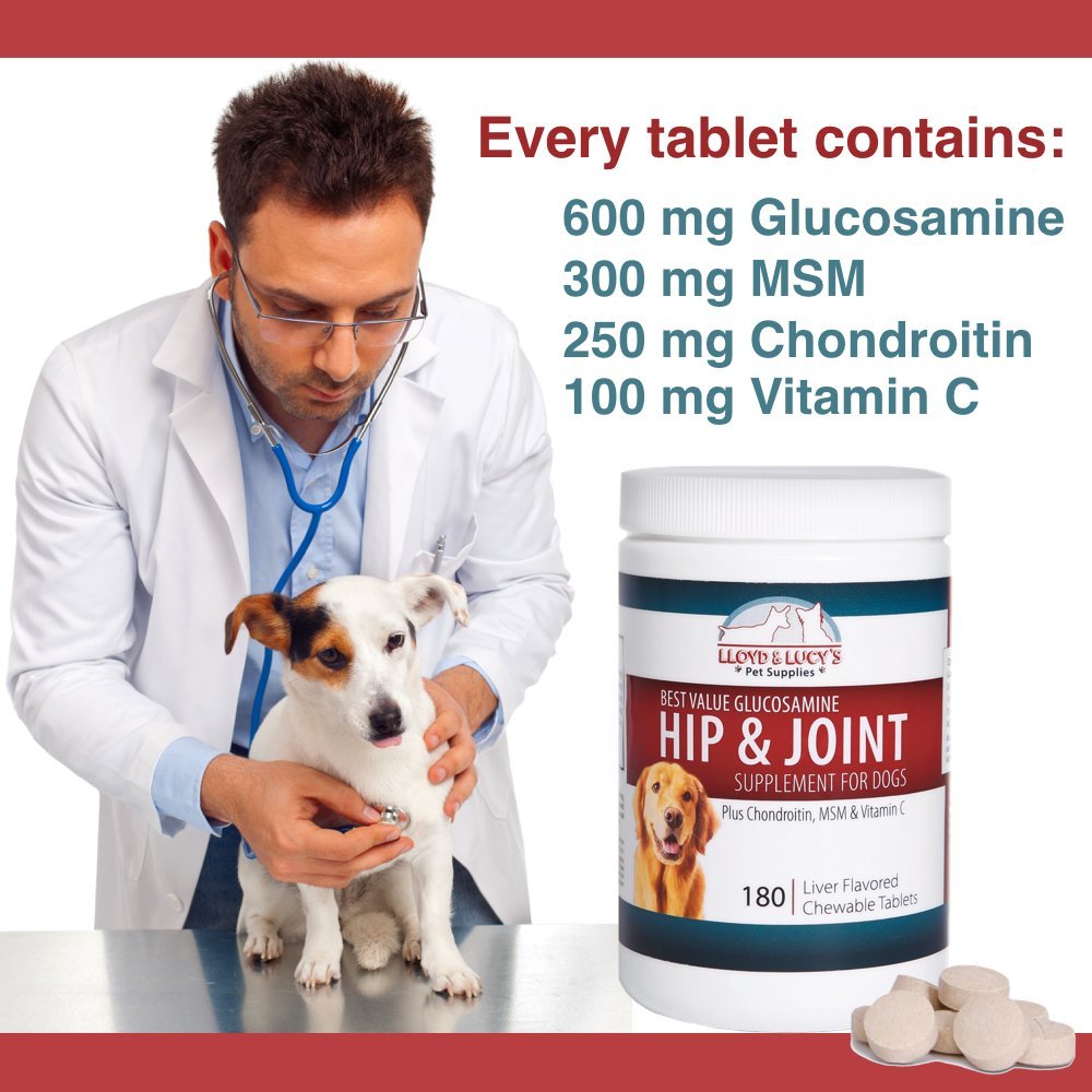 Chewable Hip and Joint Supplement for Dogs 180 Ct Tablets I9429