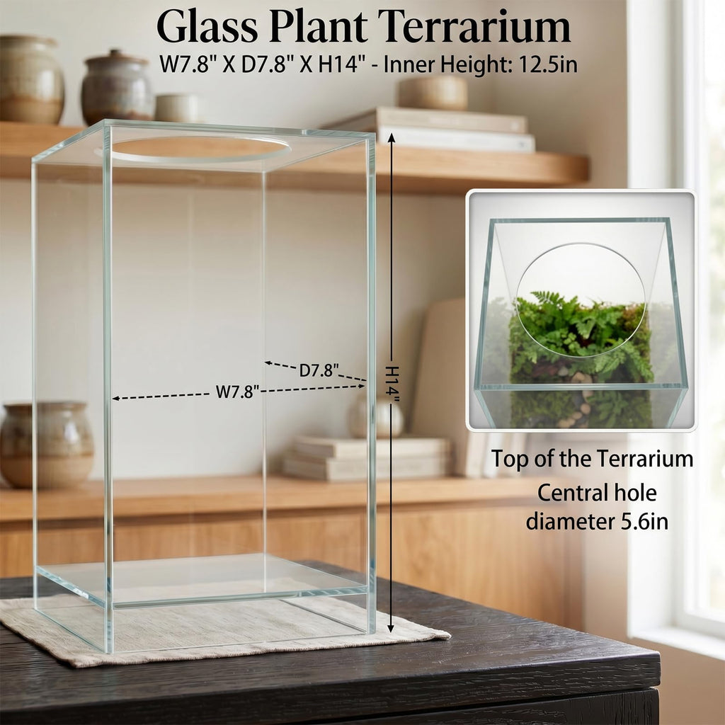Glass Plant Terrarium with Grow Light Y536034
