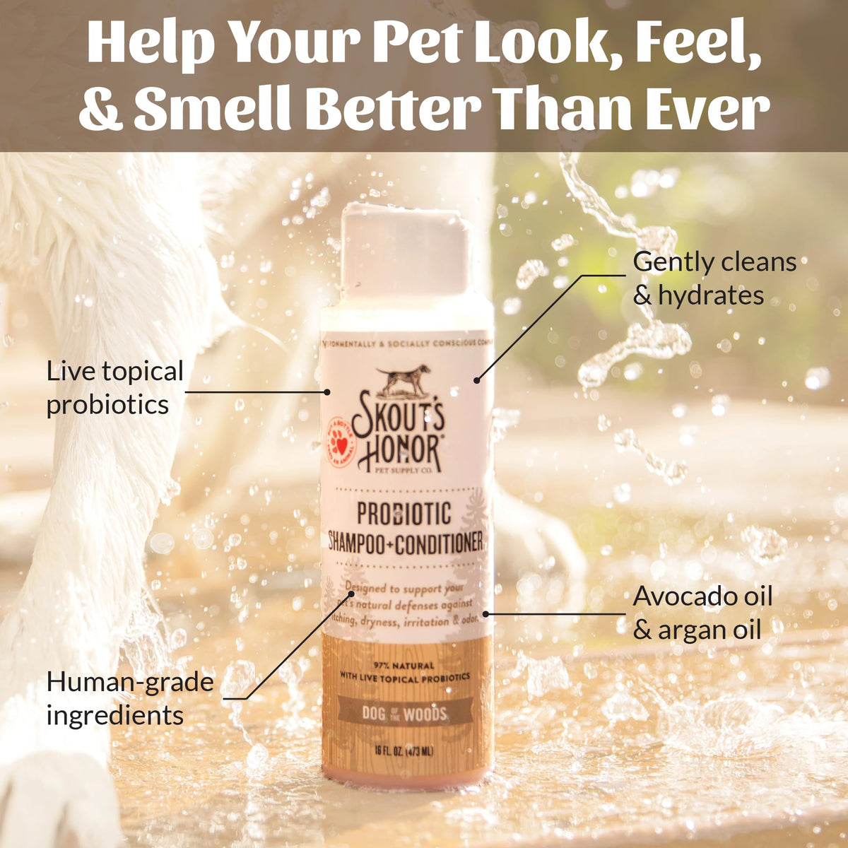 Probiotic Dog Shampoo and Conditioner 16 oz J870576