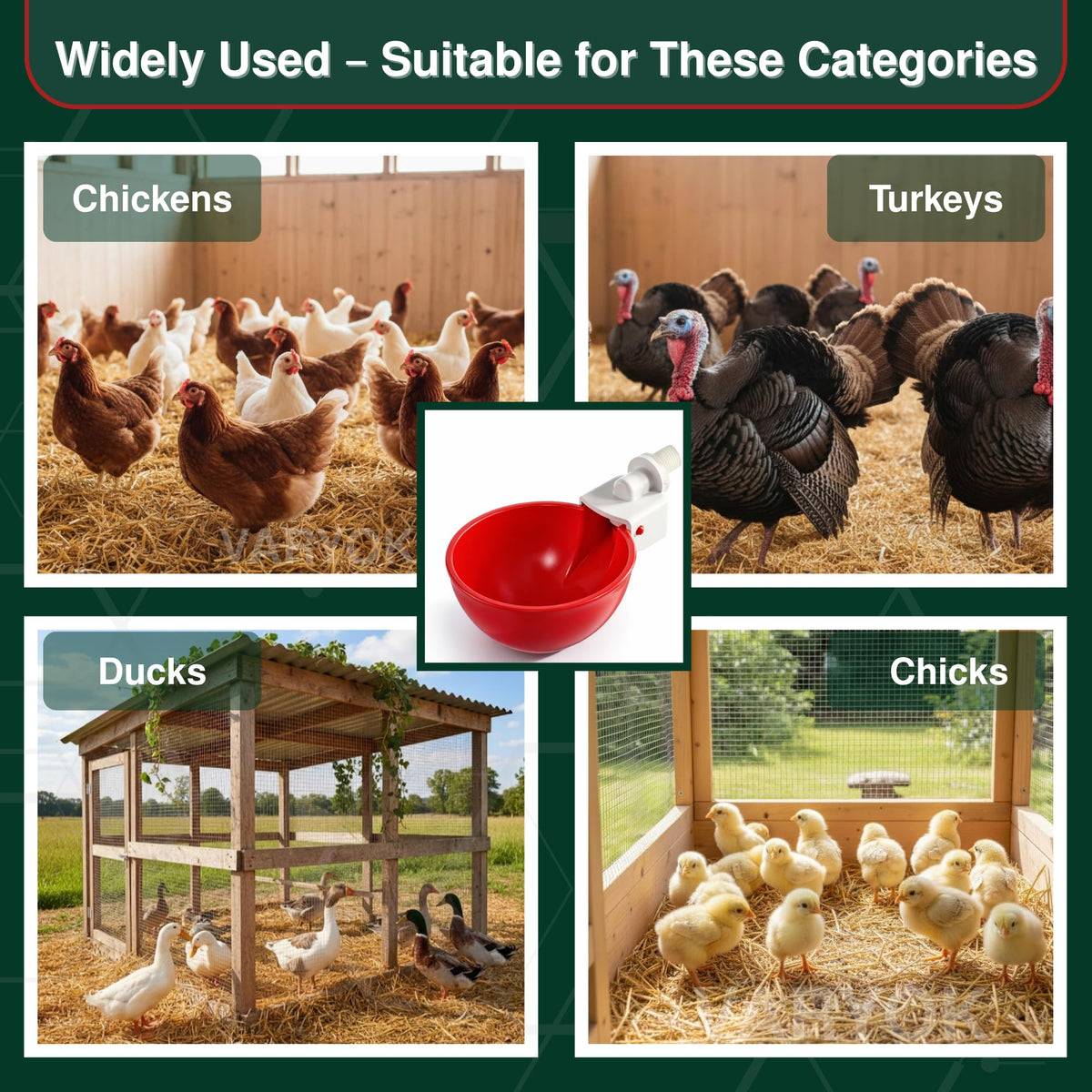 6 Pack Large Chicken Water Cups Z6406