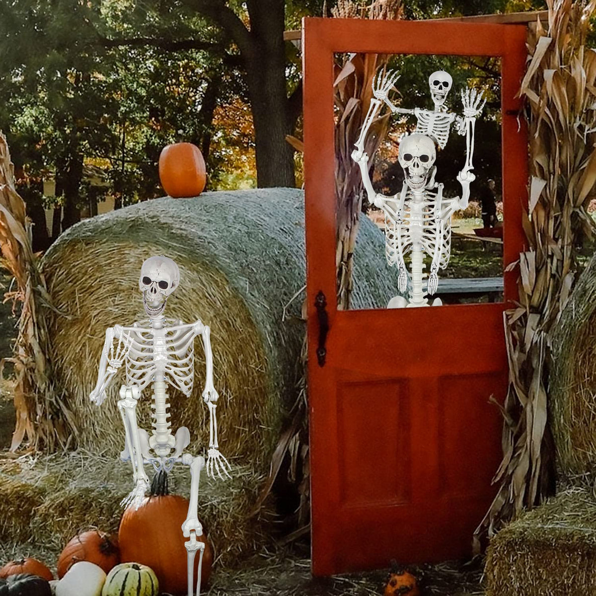 5.4ft Posable Full Body Skeleton with Movable Joints J40162