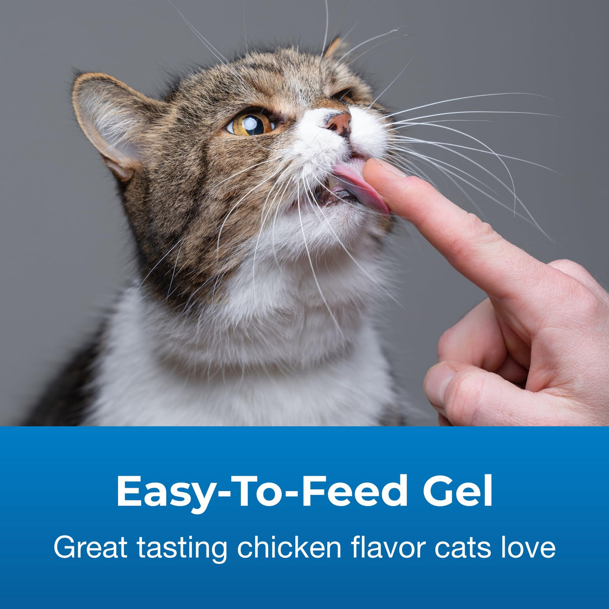 Urinary Tract Gel Supplement for Cats 3.5 oz D9893