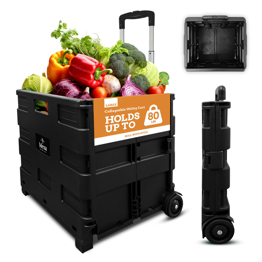 Collapsible 2 Wheel Utility Cart with Telescopic Handle, Black H106690