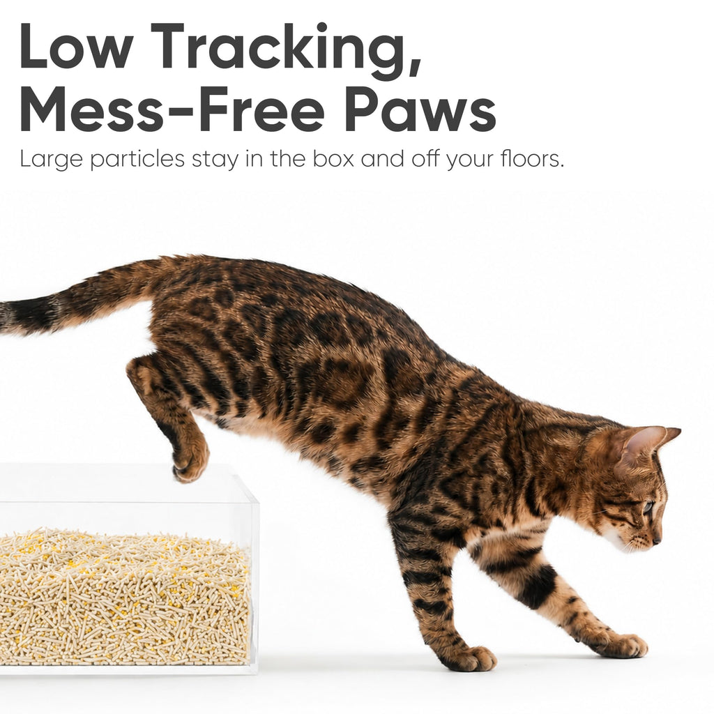 Clumping Tofu Cat Litter 18 lb X953