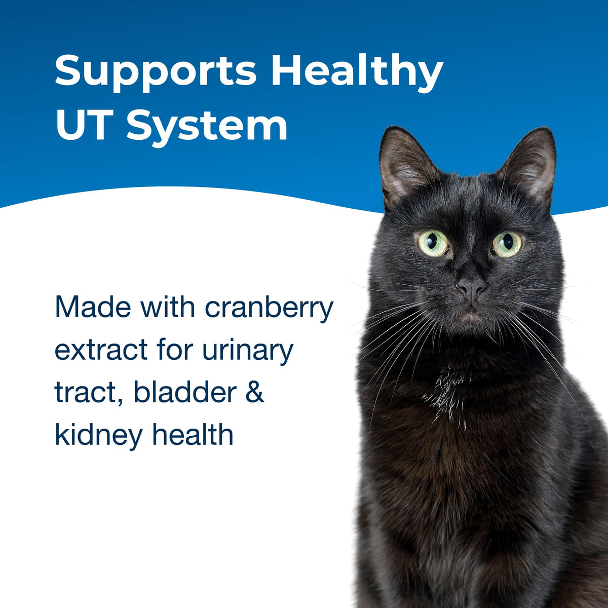 Urinary Tract Gel Supplement for Cats 3.5 oz D9893