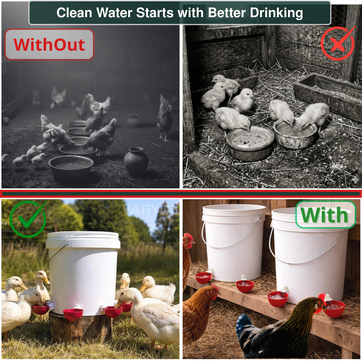 6 Pack Large Chicken Water Cups Z6406