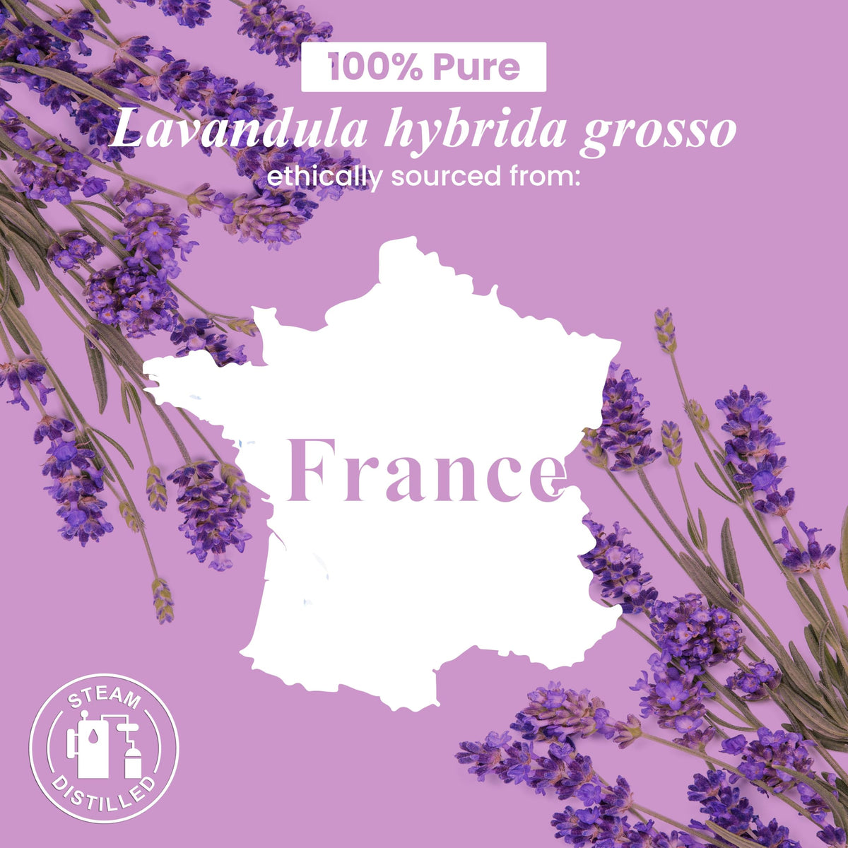 Lavender and Spearmint Essential Oils 2 x 4 Fl Oz Q2036