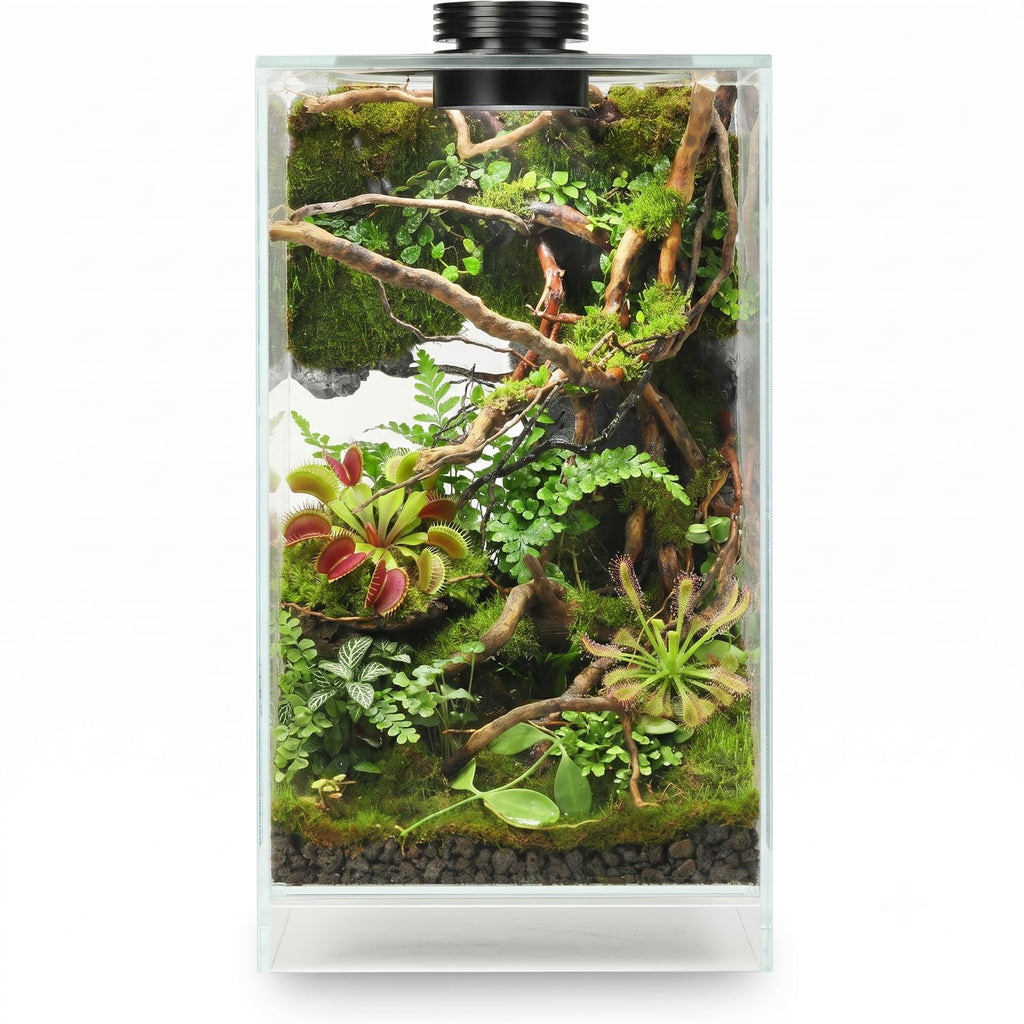 Glass Plant Terrarium with Grow Light Y536034
