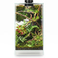 Glass Plant Terrarium with Grow Light Y536034