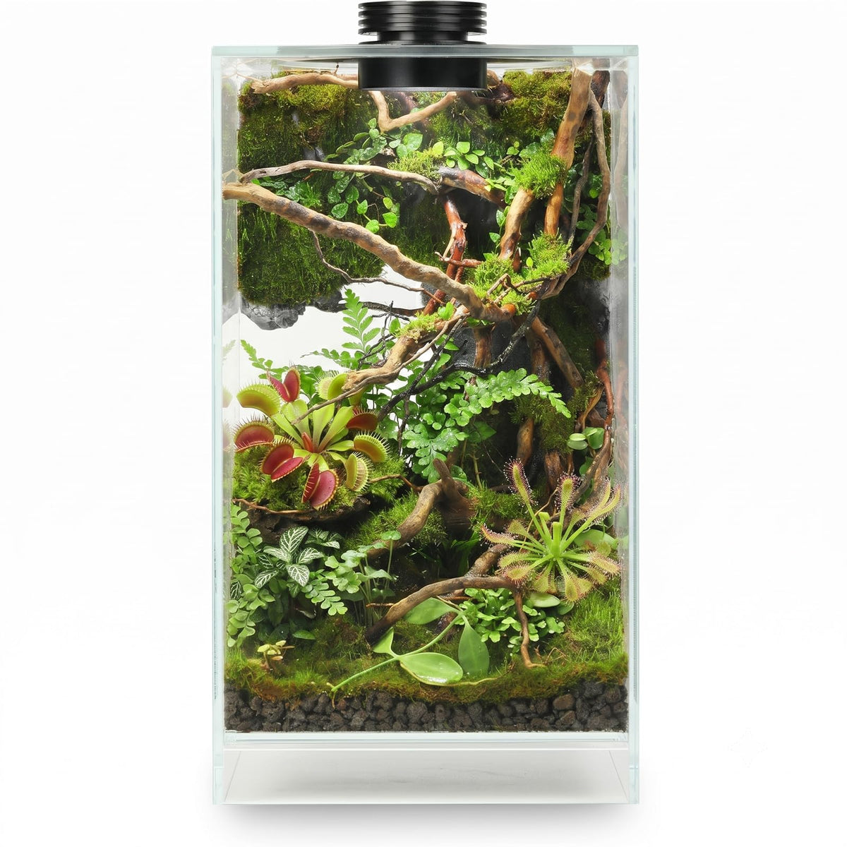 Glass Plant Terrarium with Grow Light Y536034