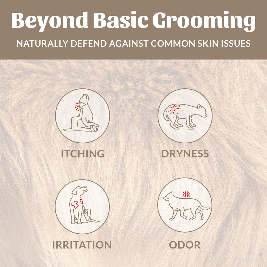 Probiotic Dog Shampoo and Conditioner 16 oz J870576