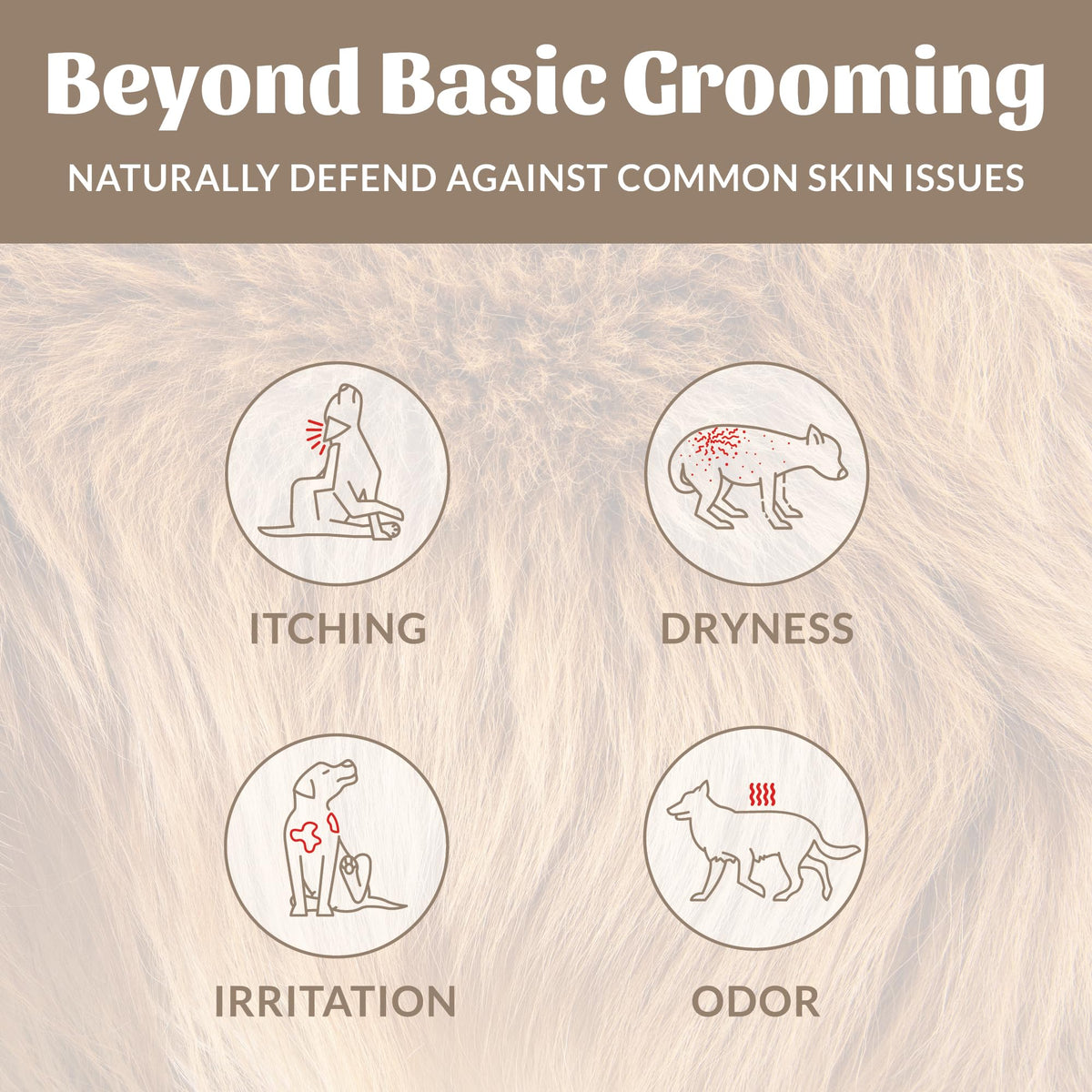 Probiotic Dog Shampoo and Conditioner 16 oz J870576