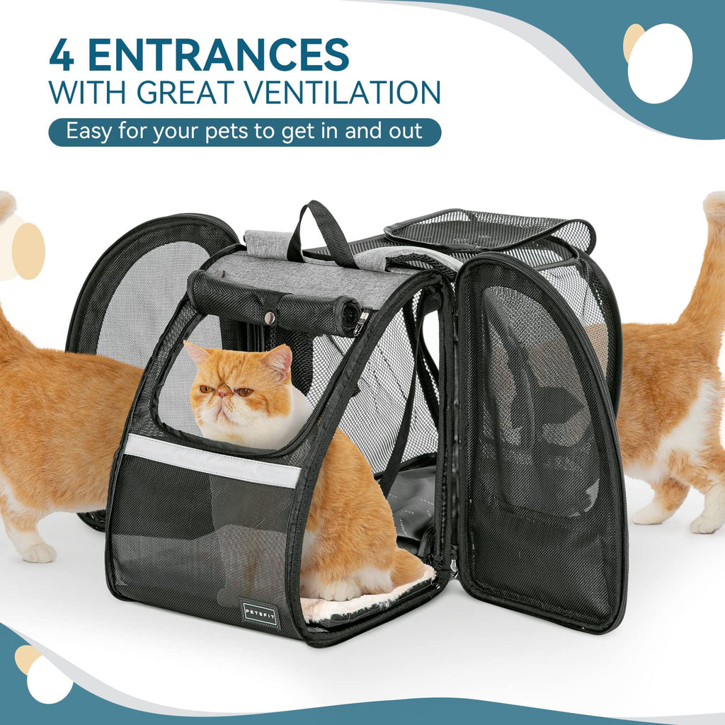 Dog Backpack Carrier with Fleece Mat W4429
