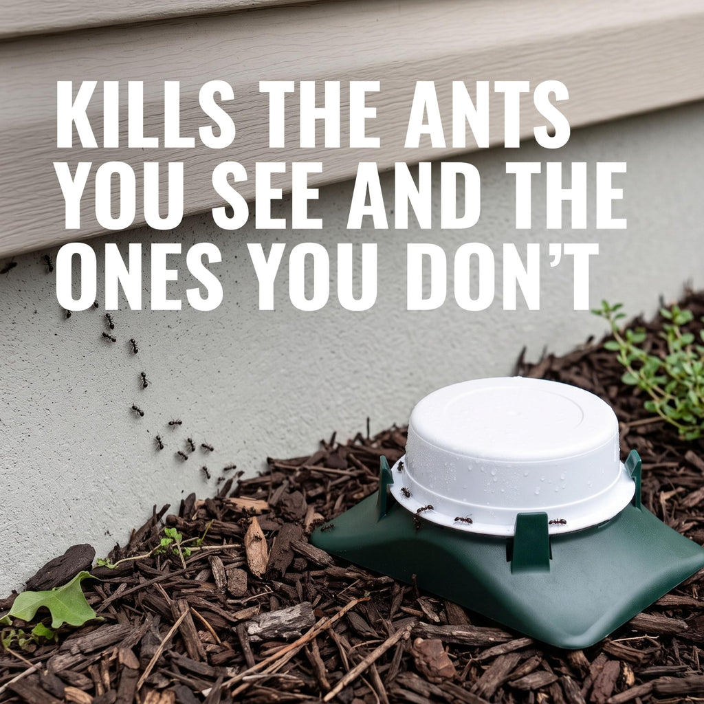Outdoor Liquid Ant Bait Killer and Trap 8 Bait Stations W261090