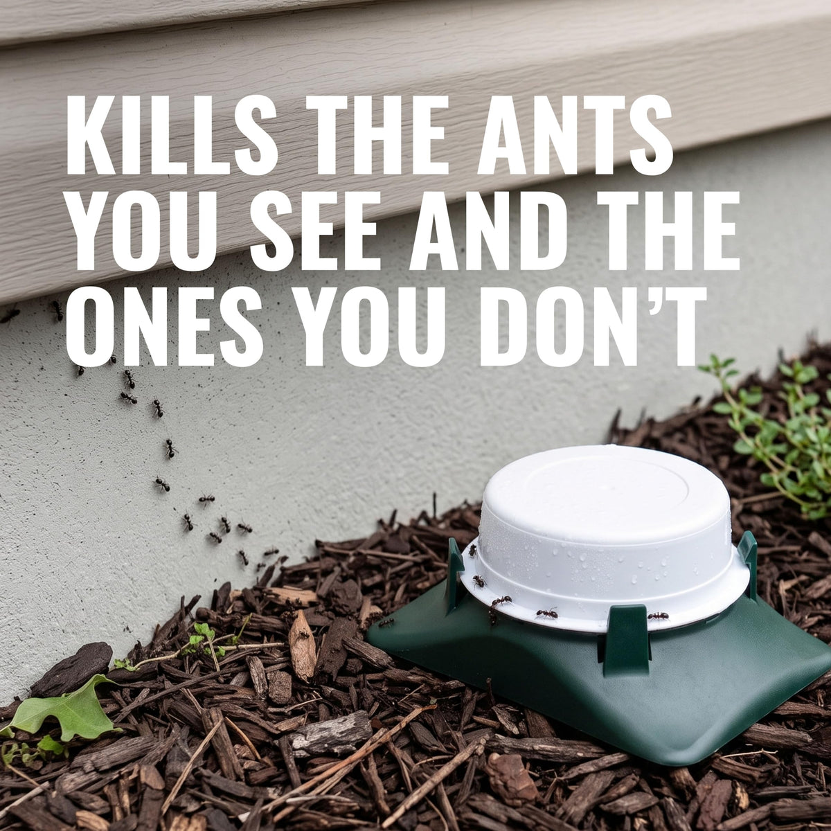 Outdoor Liquid Ant Bait Killer and Trap 8 Bait Stations W261090
