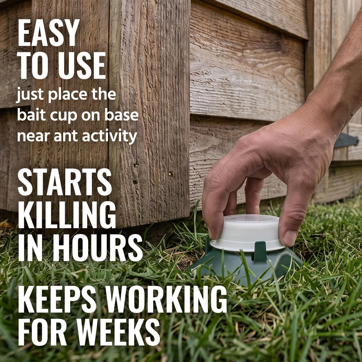 Outdoor Liquid Ant Bait Killer and Trap 8 Bait Stations W261090